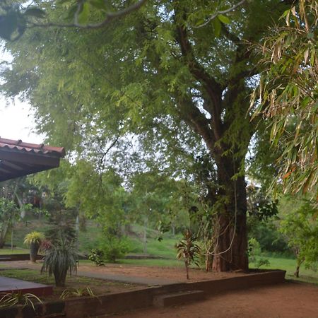 Amazon Cabanas Тиссамахарама Экстерьер фото