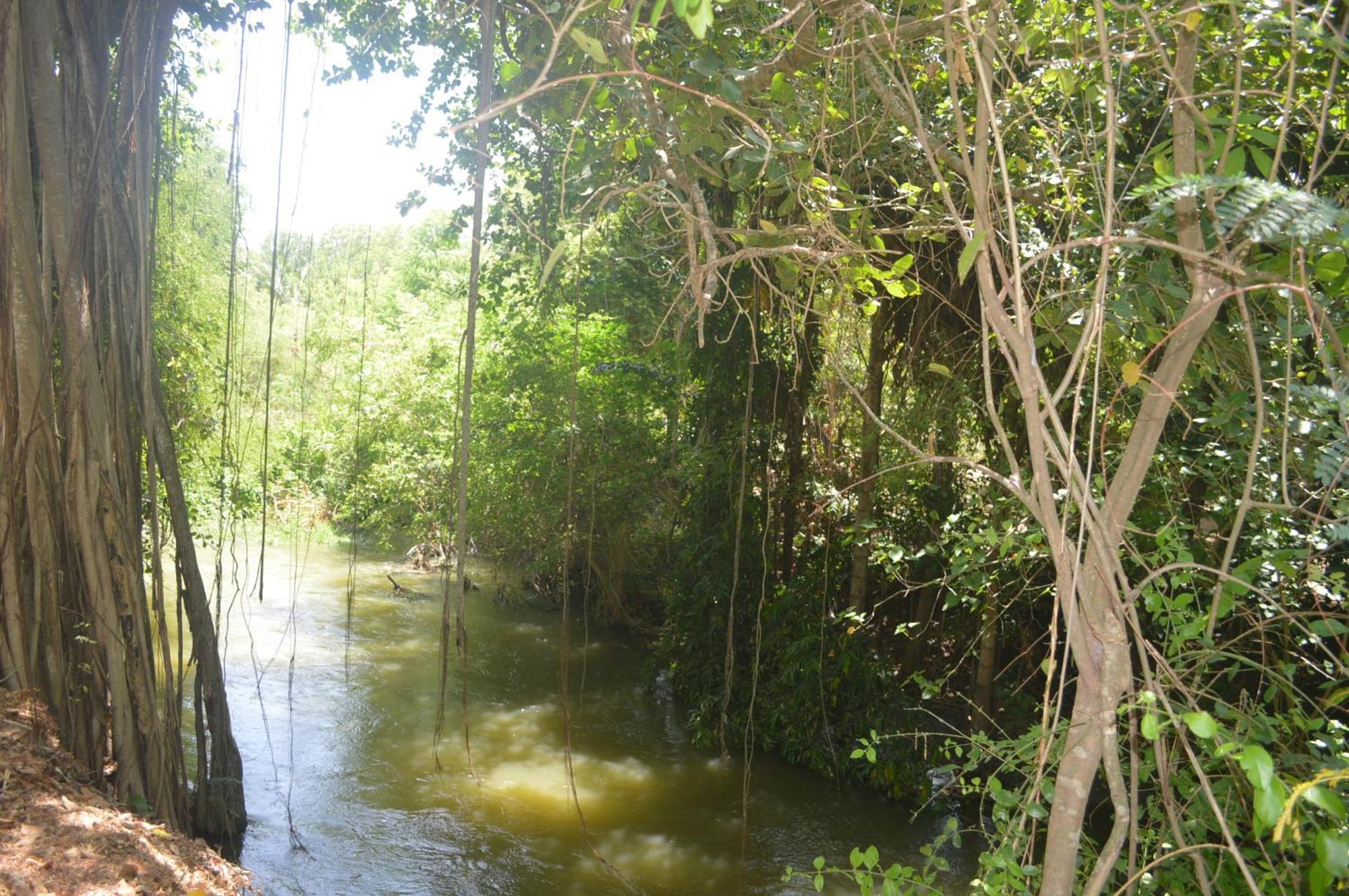 Amazon Cabanas Тиссамахарама Экстерьер фото