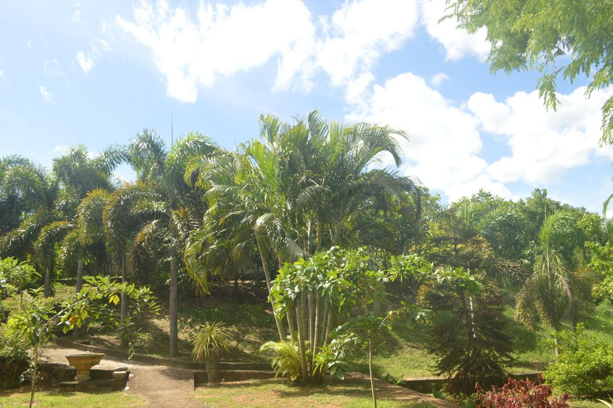 Amazon Cabanas Тиссамахарама Экстерьер фото