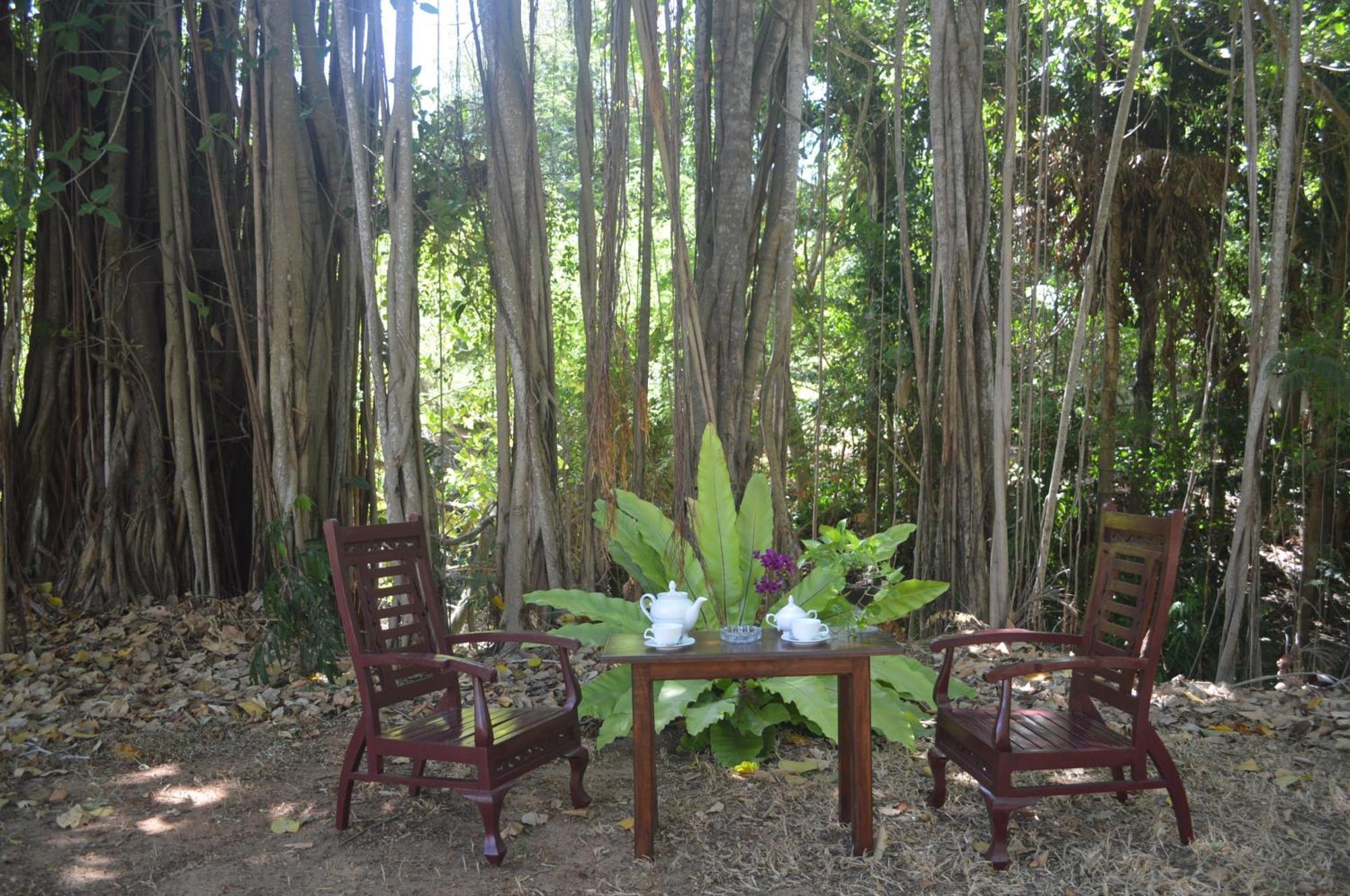 Amazon Cabanas Тиссамахарама Экстерьер фото