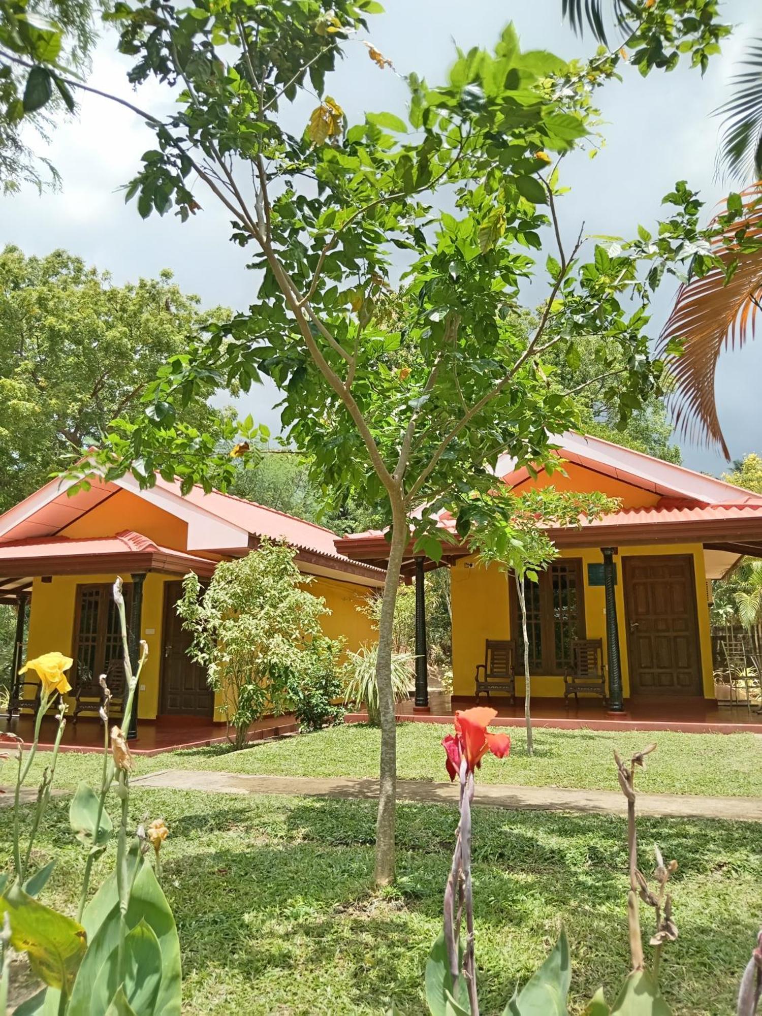 Amazon Cabanas Тиссамахарама Экстерьер фото